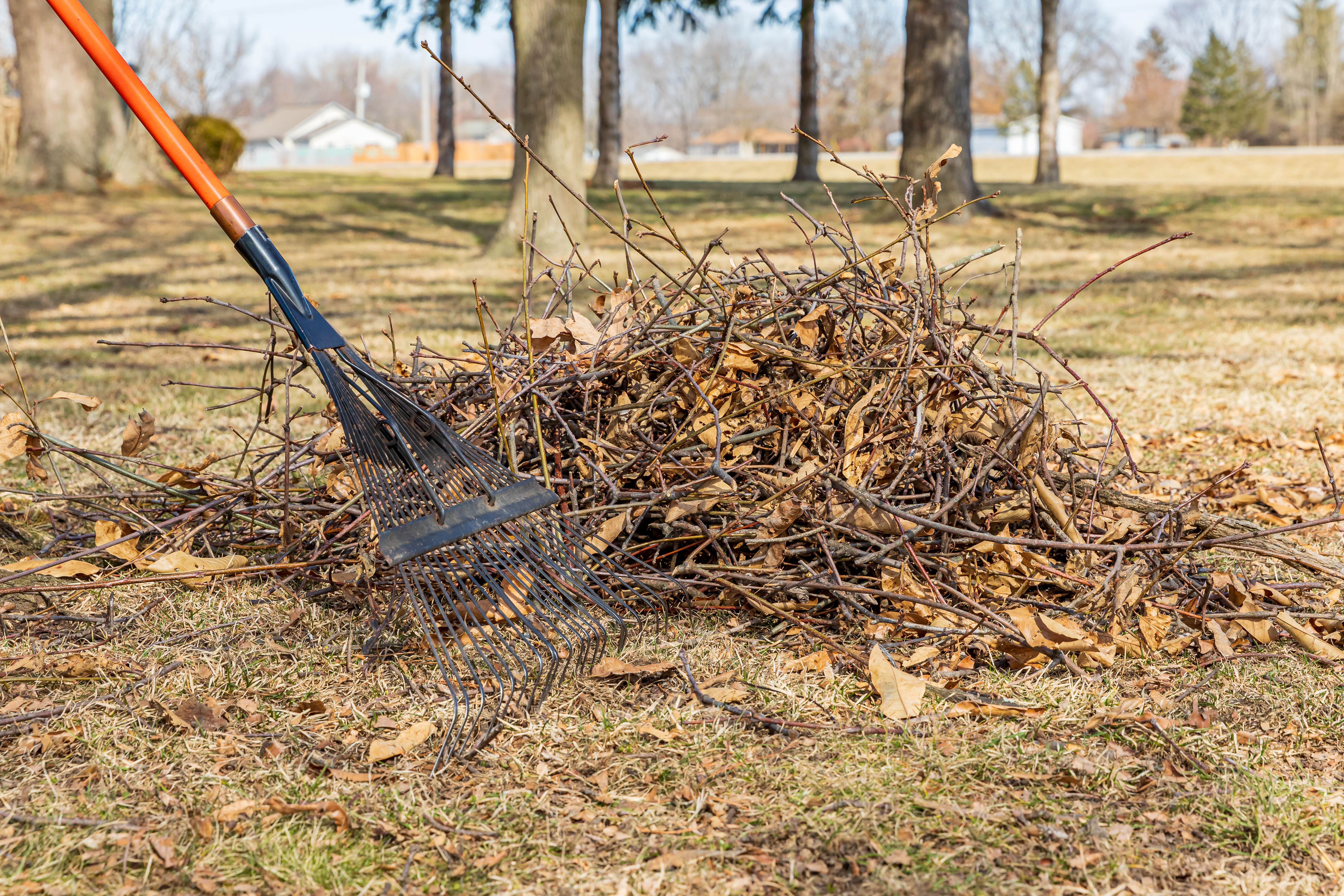 Tree,Branches,And,Leaf,Rake,In,Yard.,Lawncare,,Lawn,Cleaning Tree,Branches,And,Leaf,Rake,In,Yard.,Lawncare,,Lawn,Cleaning