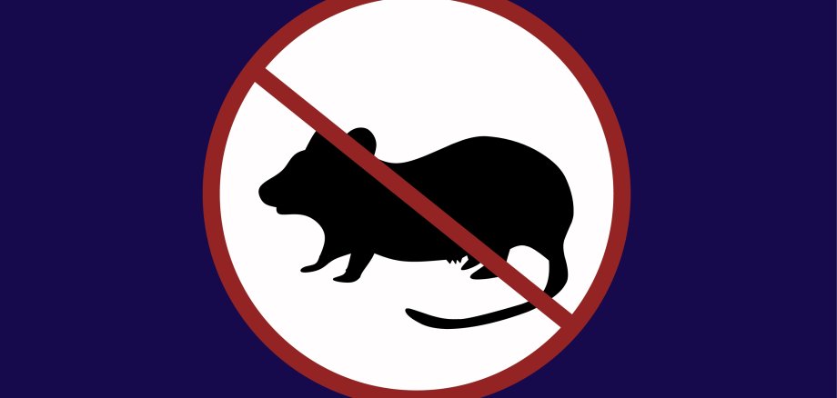 Mouse,Virus,Warning,Sign,Icon