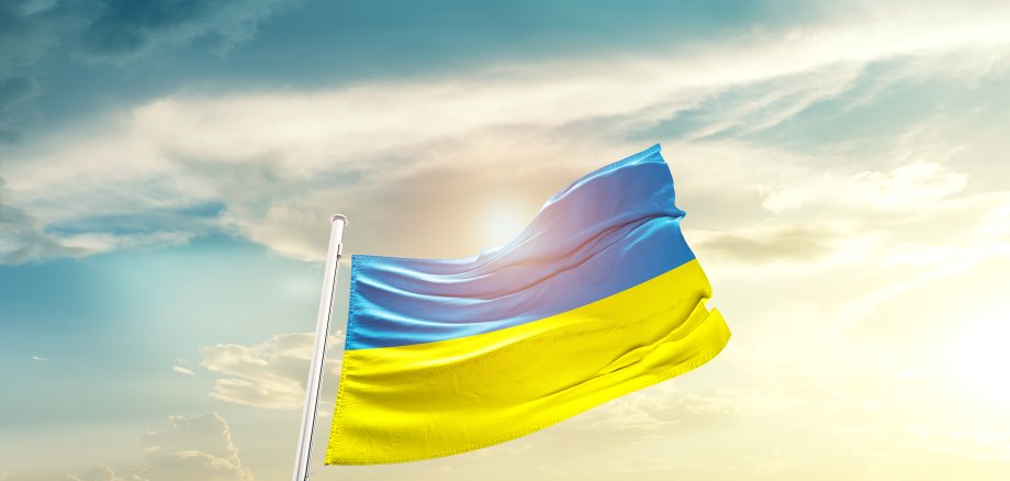 Ukraine,National,Flag,Waving,In,Beautiful,Clouds.