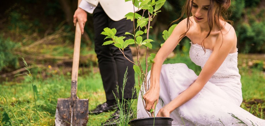 Happy,Newlyweds,Planting,A,Tree,Outdoor