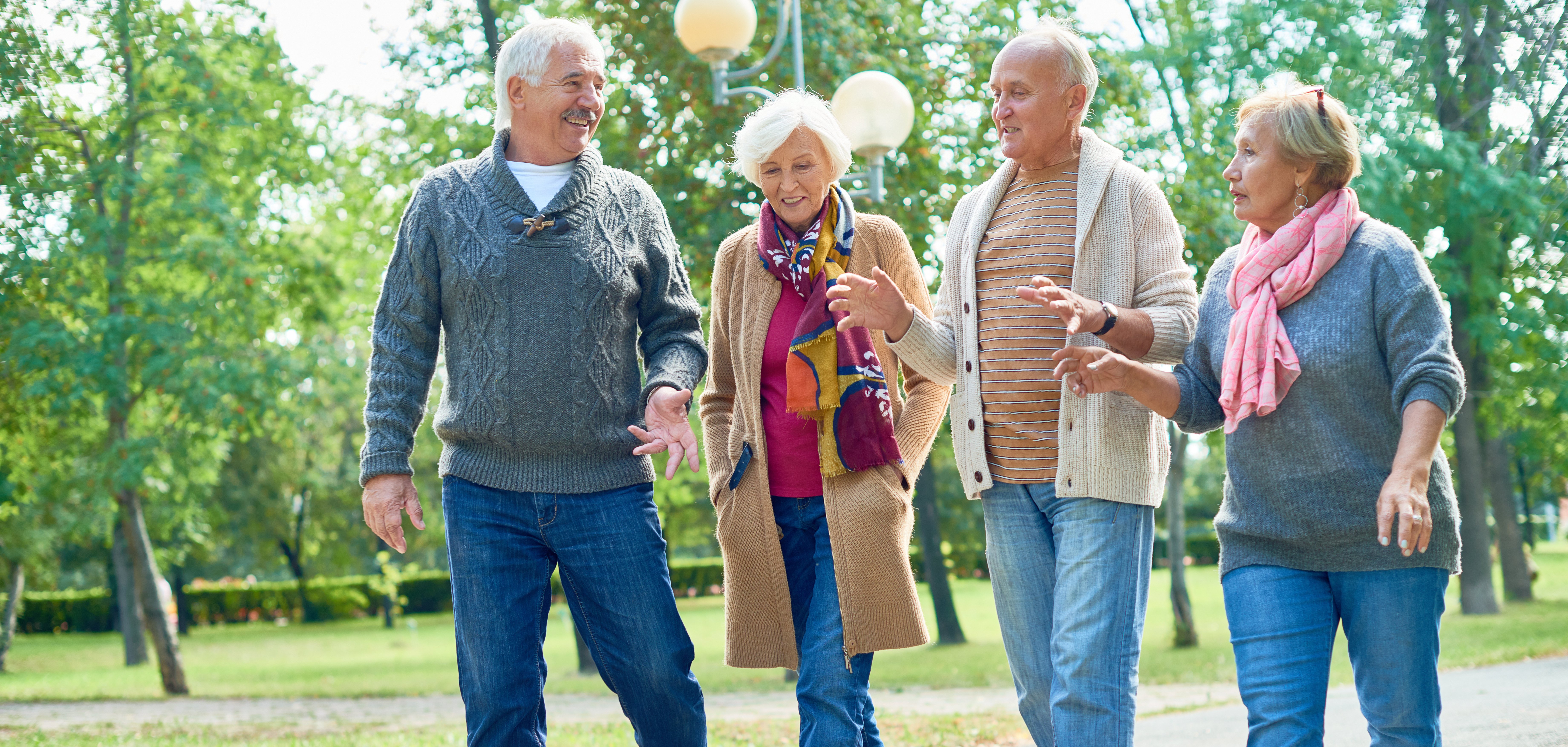 Portrait,Of,Two,Senior,Couples,Going,For,Walk,In,Park