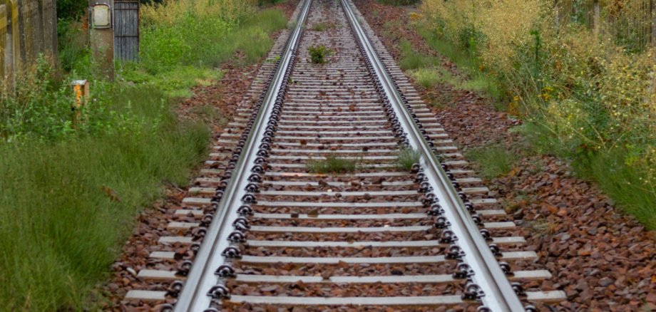 Ein einzelnes Bahngleis verläuft gerade durch eine grüne, leicht zugewachsene Landschaft. Links und rechts stehen Sträucher und Bäume, das Gleis scheint sich in der Ferne zu verlieren.