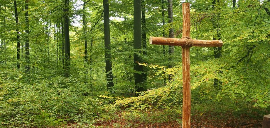 Ein hölzernes Kreuz steht auf einer Lichtung im grünen Wald. Der Boden ist mit Laub bedeckt, die Bäume leuchten in frischem Grün – eine ruhige, friedliche Atmosphäre in der Natur.