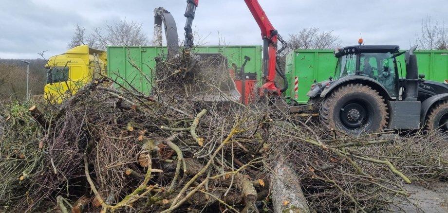 Ein Traktor mit Greifarm hebt Äste und Baumstämme in einen grünen Container. Im Vordergrund liegt Gehölz, im Hintergrund steht ein gelber Lkw. Aufgenommen bei bewölktem Himmel.