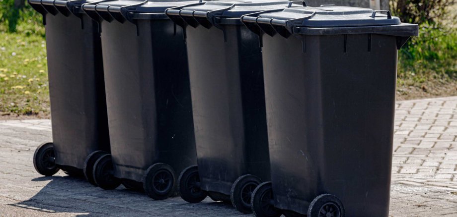 Vier schwarze Mülltonnen mit Rollen und geschlossenen Deckeln stehen in einer Reihe auf einem befestigten Weg. Im Hintergrund sind ein niedriger Holzzaun und grüne Büsche zu sehen.