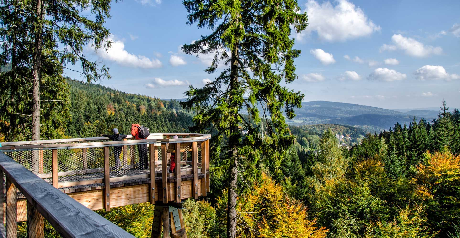Ein hölzerner Baumwipfelpfad schlängelt sich durch einen weitläufigen grünen Wald. Ein Kind und eine erwachsene Person stehen auf einer Plattform und genießen die weite Aussicht über grüne Hügel unter blauem Himmel mit Wolken.
