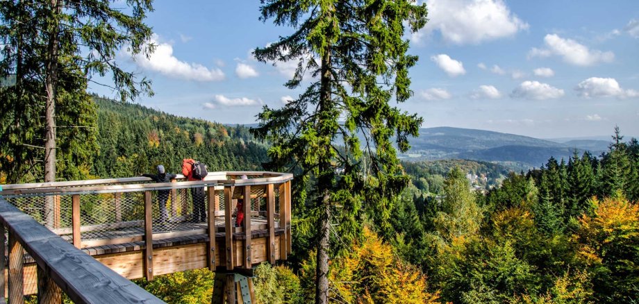 Ein hölzerner Baumwipfelpfad schlängelt sich durch einen weitläufigen grünen Wald. Ein Kind und eine erwachsene Person stehen auf einer Plattform und genießen die weite Aussicht über grüne Hügel unter blauem Himmel mit Wolken.