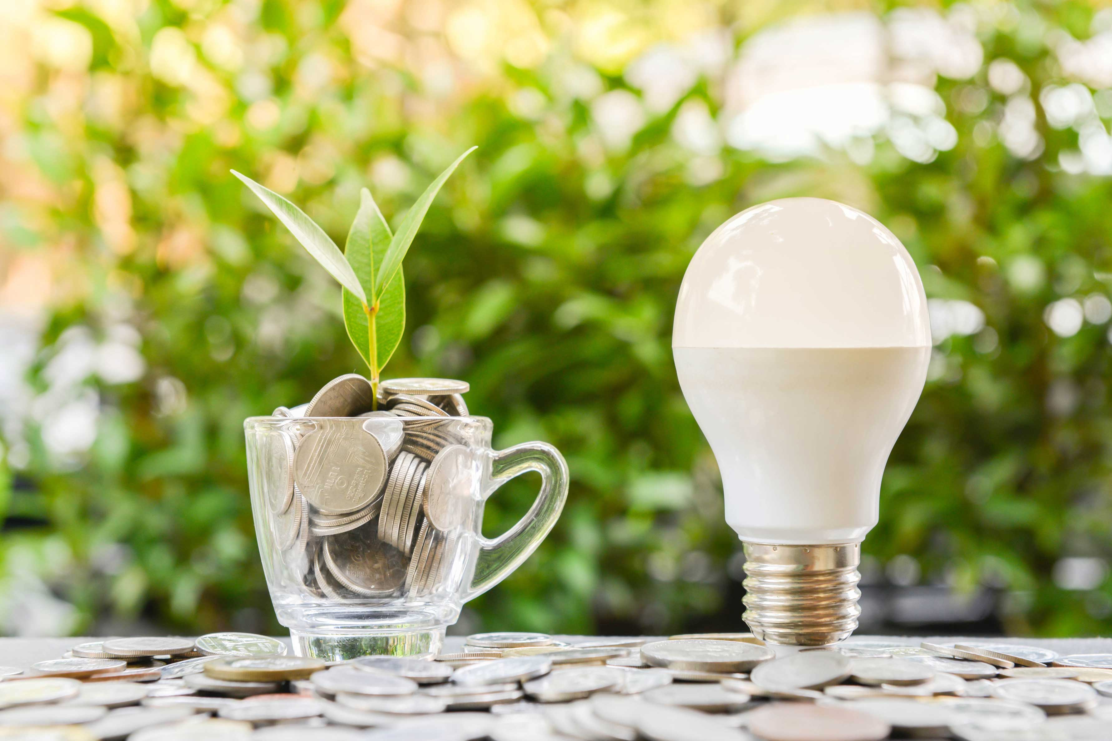Led,Bulb,With,Growing,Plant,In,The,Glass,And,Sun Led,Bulb,With,Growing,Plant,In,The,Glass,And,Sun