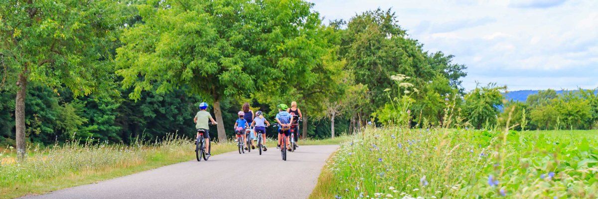 Blurred,Panoramic,Background,With,Children,And,Mothers,On,Bikes,On