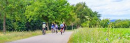 Eine Gruppe von Radfahrern, darunter auch Kinder, fährt auf einem asphaltierten Weg durch eine grüne Landschaft mit Bäumen und Feldern.