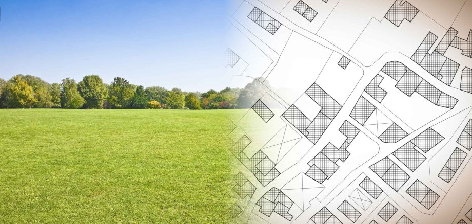 Eine offene, grüne Fläche mit einer Reihe Bäume. Das Foto ist mit einem schematischen Bauplan oder Katasterplan von Gebäuden und Straßen überlagert. Es Symbolisiert Stadtplanung oder Immobilienentwicklung.
