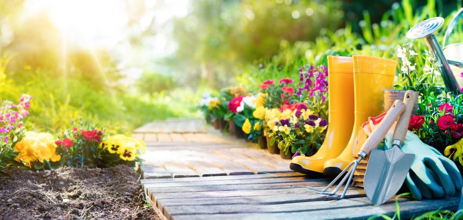 Eine Reihe von Gartengeräten, gelbe Gummistiefel, eine Gießkanne, Schaufel und Harke stehen auf einem Holzweg, umgeben von bunten Blumen in heller, sonniger Gartenatmosphäre.