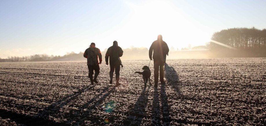 Hunting,Crew,Heading,Out,To,Hunt,,Early,November,Morning,In