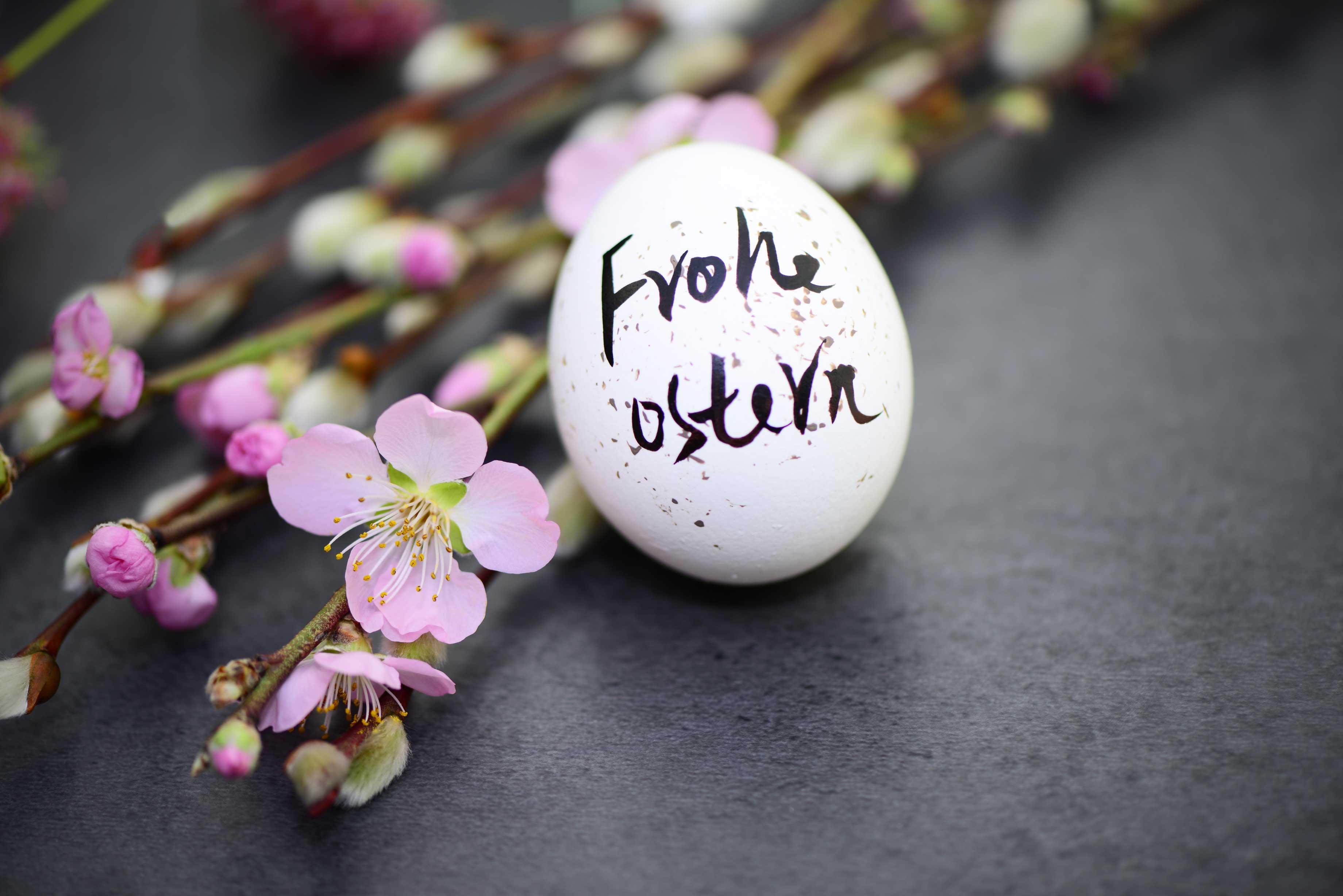 Frohe,Ostern,-happy,Easter.easter,Egg,With,Flowers Frohe,Ostern,-happy,Easter.easter,Egg,With,Flowers