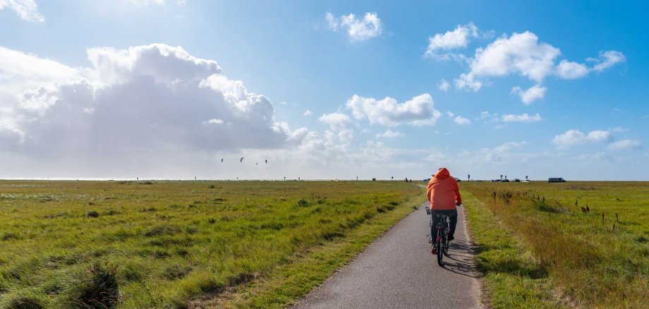 Hiking,And,Cycle,Path,Through,The,Salt,Marshes,Near,St