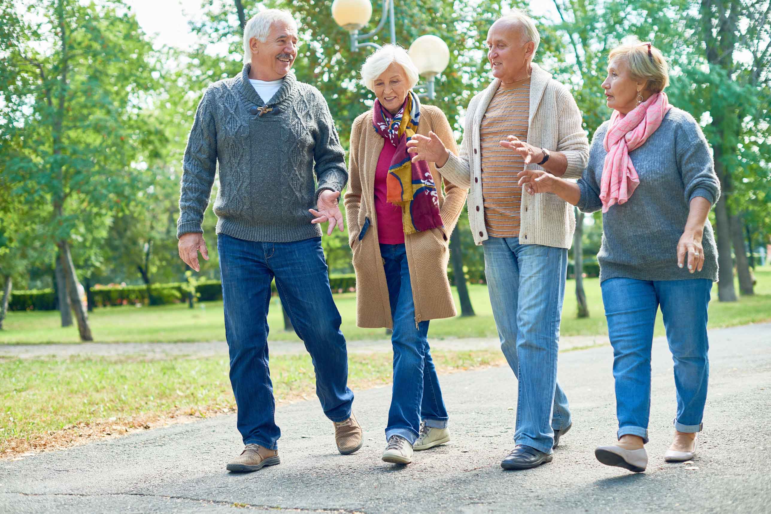 Portrait,Of,Two,Senior,Couples,Going,For,Walk,In,Park Portrait,Of,Two,Senior,Couples,Going,For,Walk,In,Park