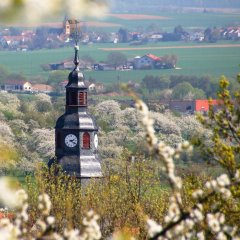 Blick vom Kirschenberg