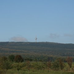 Winterstein
