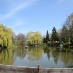 Teichanlage Ober-Rosbach